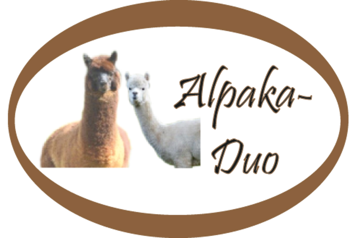 Alpaka-Duo