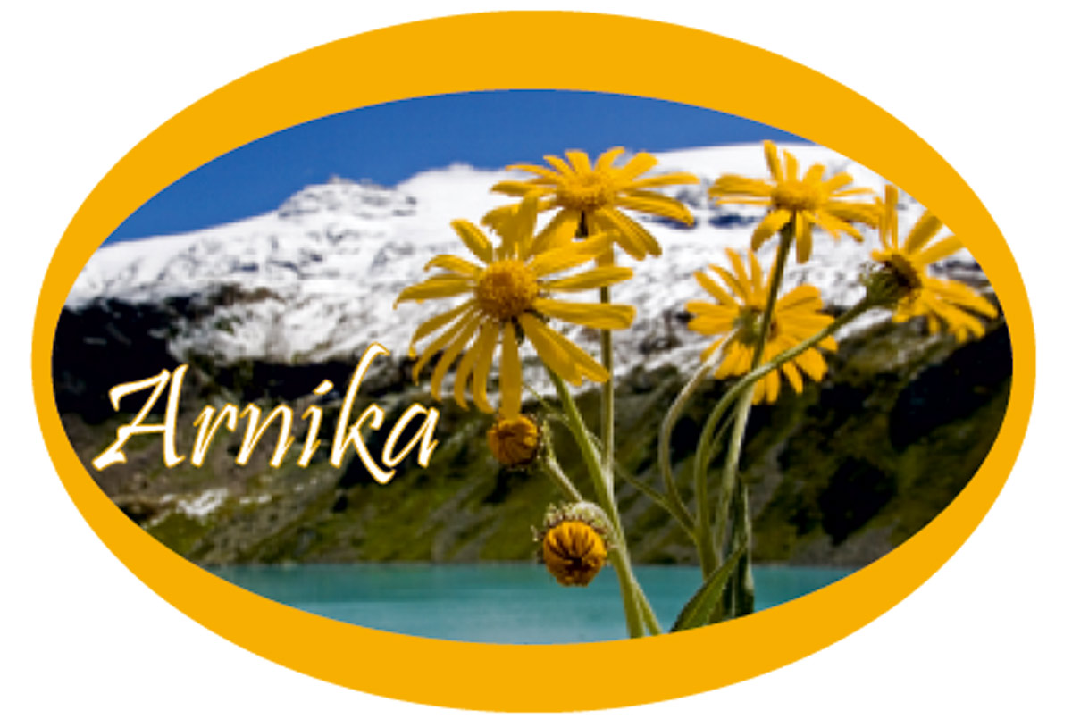 Arnika