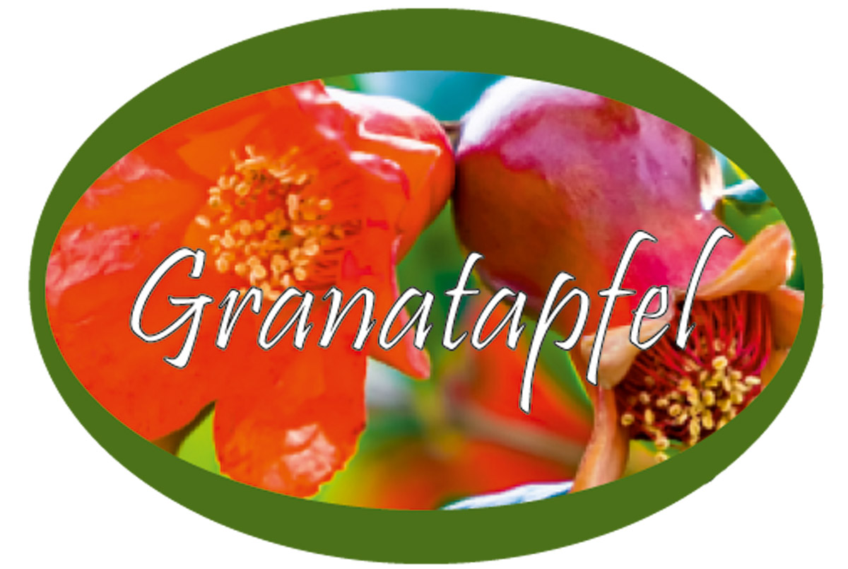 Granatapfel