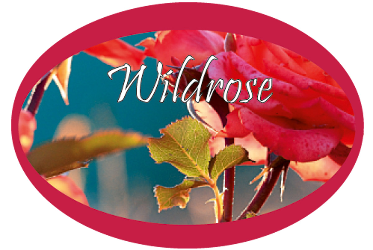 Wildrose