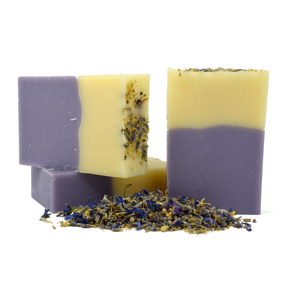 Lavandula