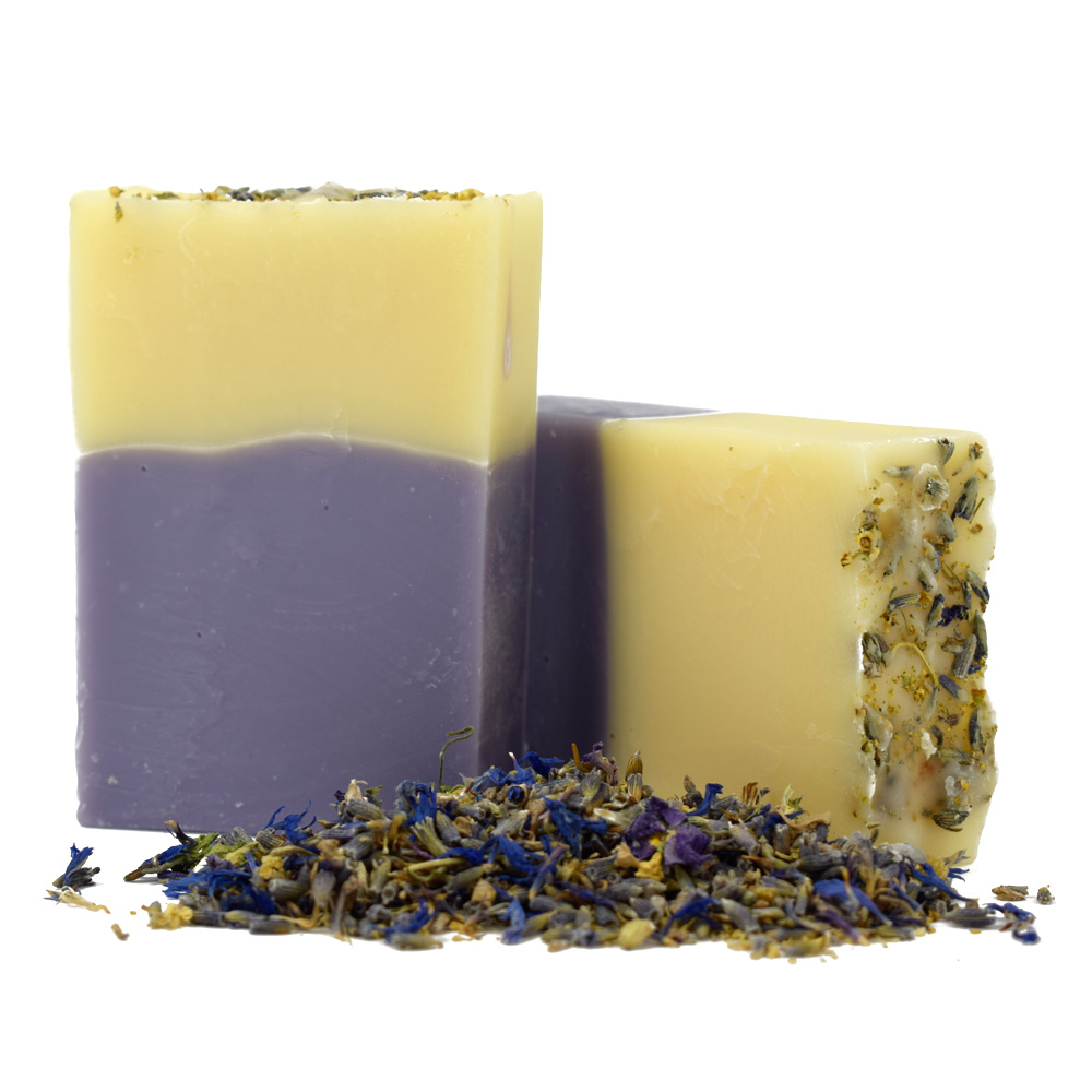 Lavandula